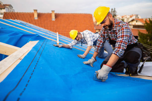 Best Solar Panel Roofing Installation  in Fern Prairie, WA